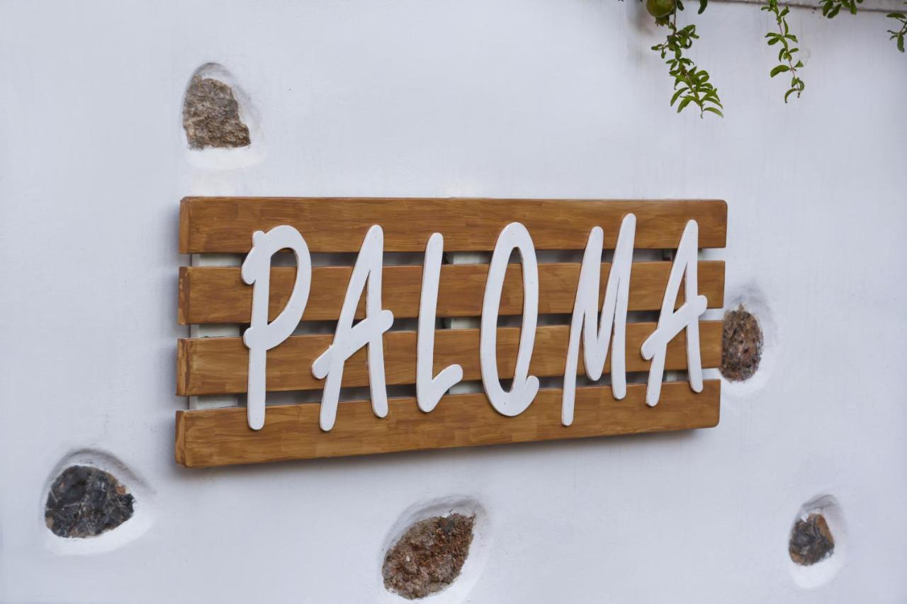 Paloma Luxury Studios Panormos  Exterior photo