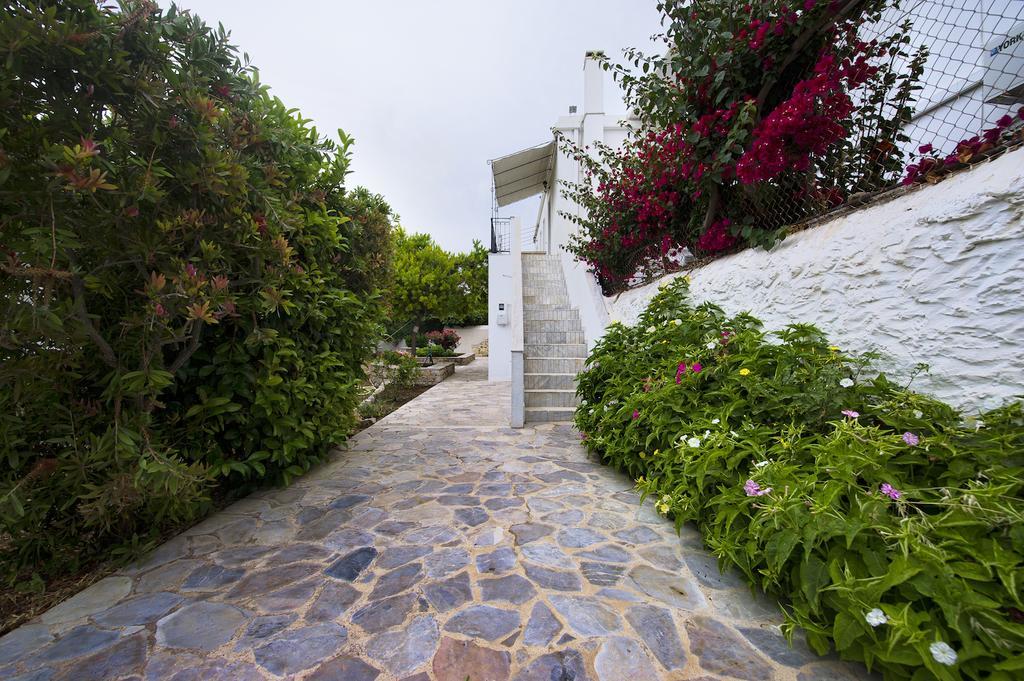 Paloma Luxury Studios Panormos  Exterior photo